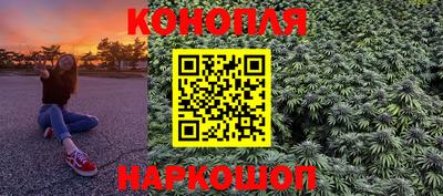 дмт Будённовск