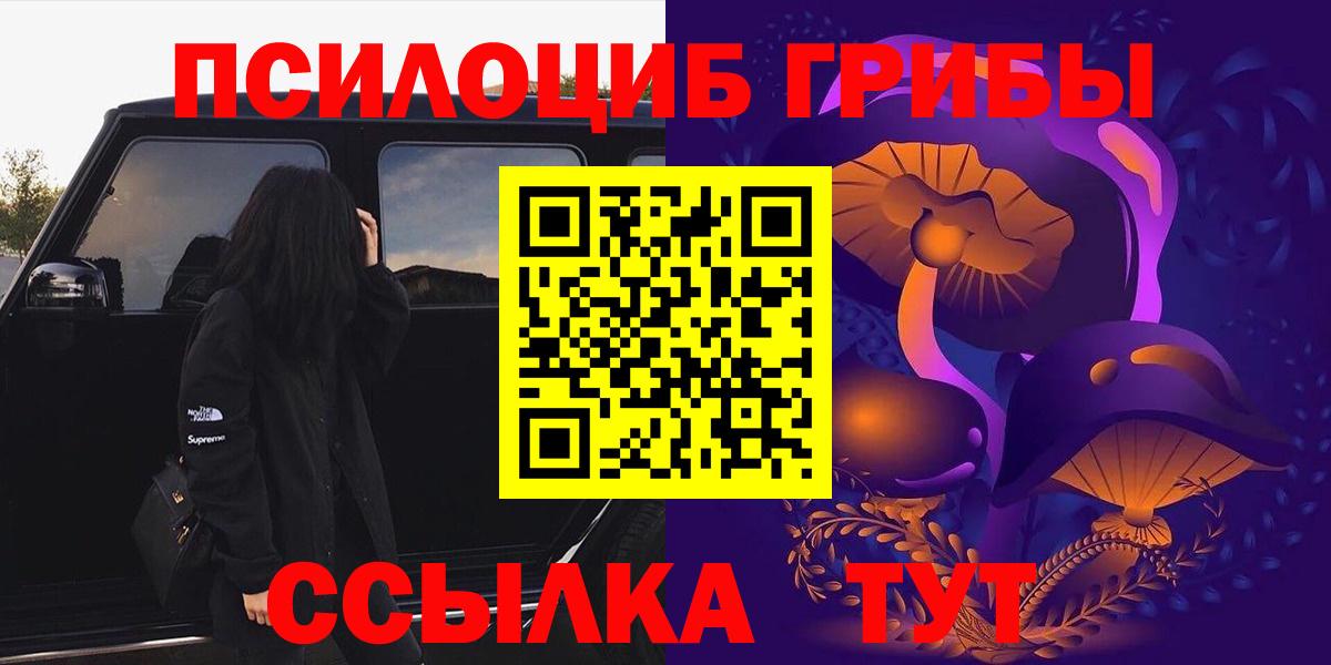 Тосно  Галлюциногенные грибы мицелий  купить наркотики сайты  Вход с VPN 